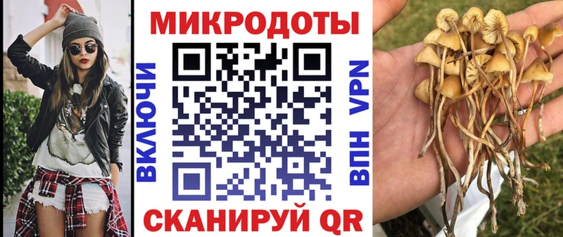 Купить закладки  Елец  Псилоцибиновые грибы прущие грибы 